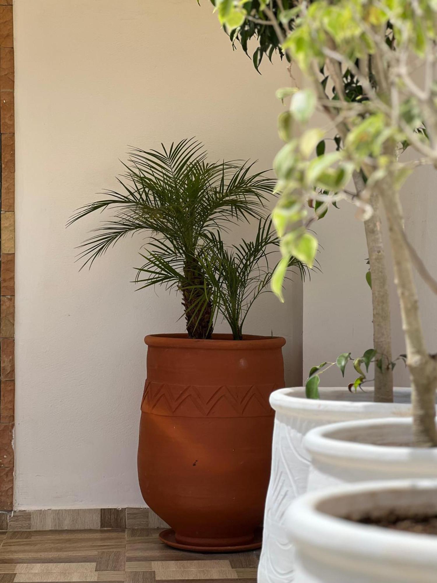 Riad Safia Rabat Zewnętrze zdjęcie